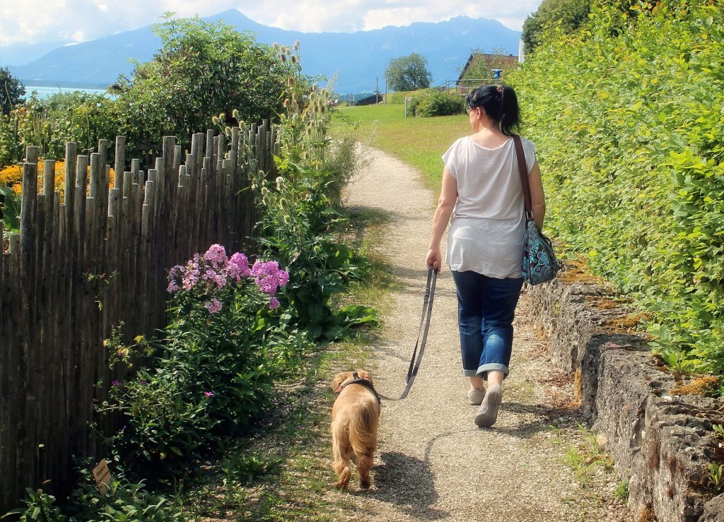 Eine Frau geht mit ihrem Hund auf dem Land spazieren